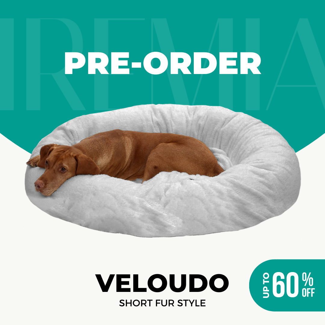 Bagel dog bed with removable cover online
