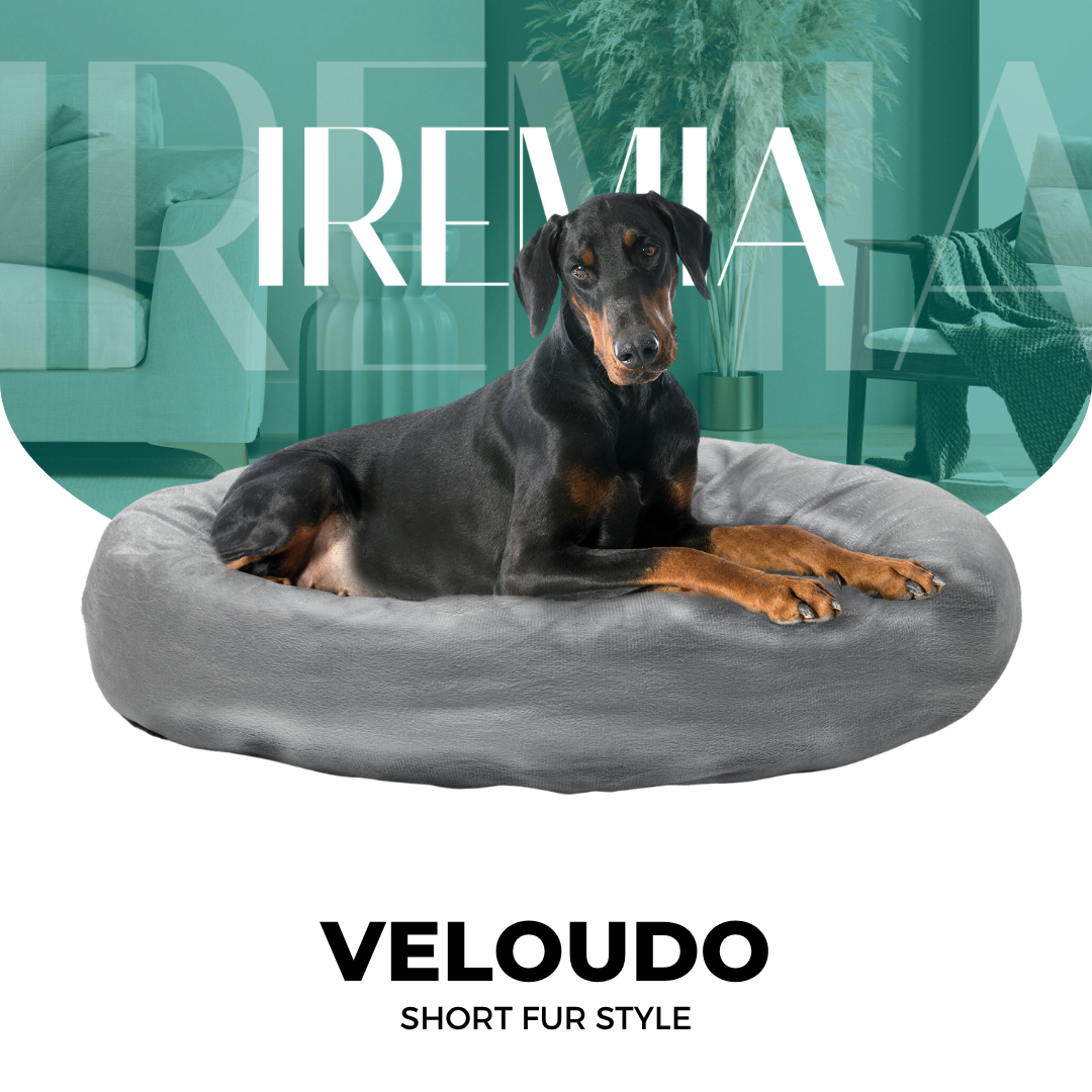 Velvet Veloúdo IREMIA Dog Bed From Pets Planet - South Africa's No
