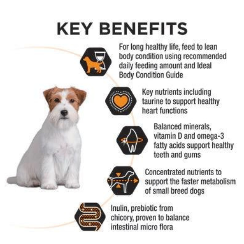 Purina PRO PLAN® Adult Small & Mini Breed Dog Food - Chicken