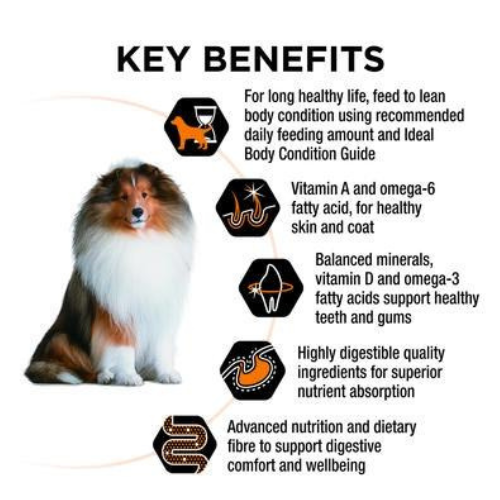 Purina PRO PLAN® Adult Medium Breed Dog Food - Chicken