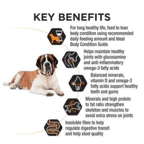 Purina PRO PLAN® Adult Large Breed Dog Food - Chicken