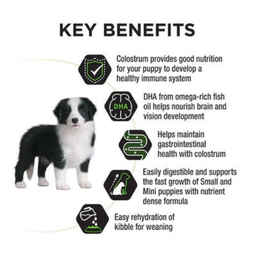 Purina PRO PLAN® Puppy Medium Breed Dog Food - Chicken