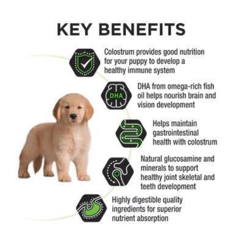 Purina PRO PLAN® Puppy Large Breed Dog Food - Chicken