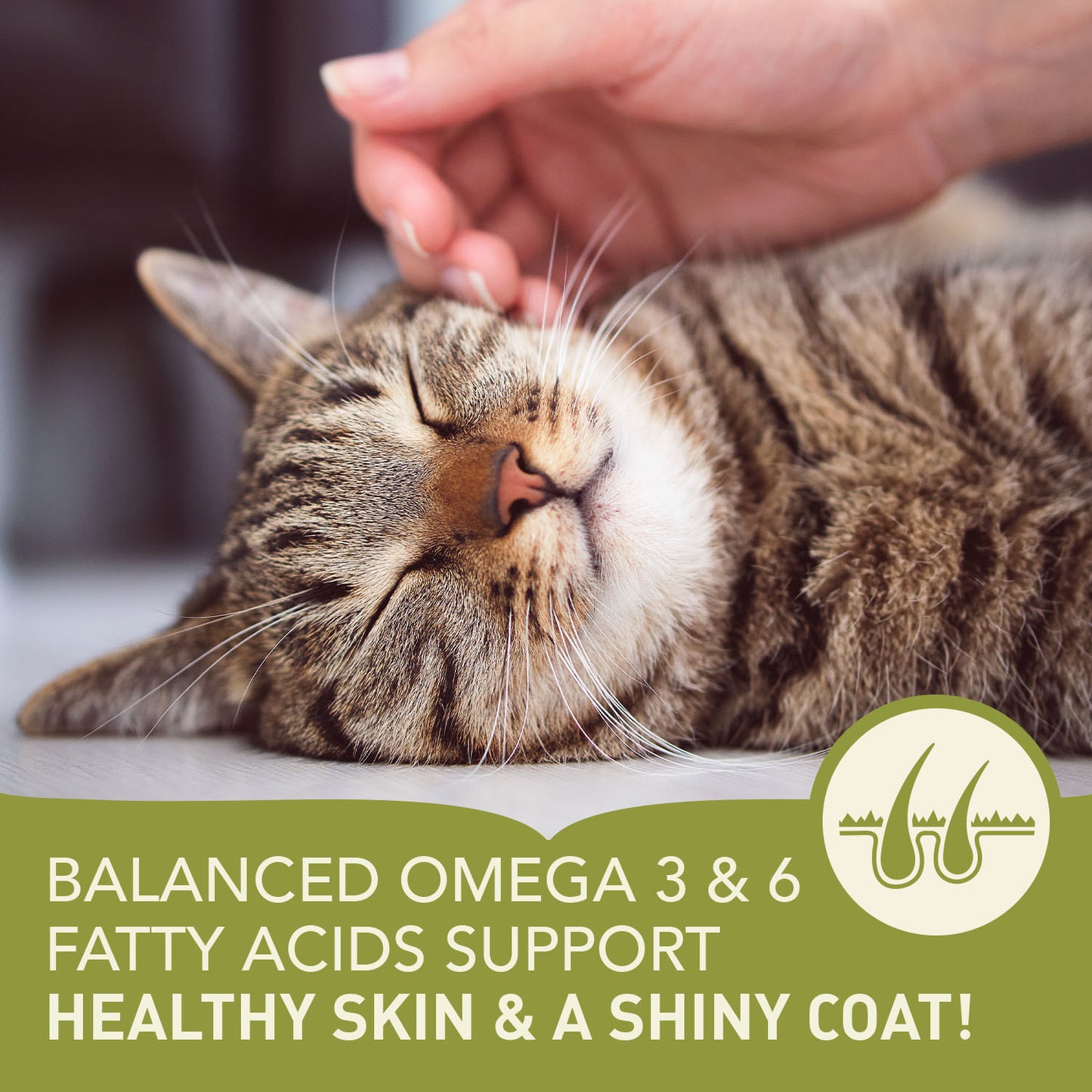 Acana Adult Cat Food - Bountiful Catch