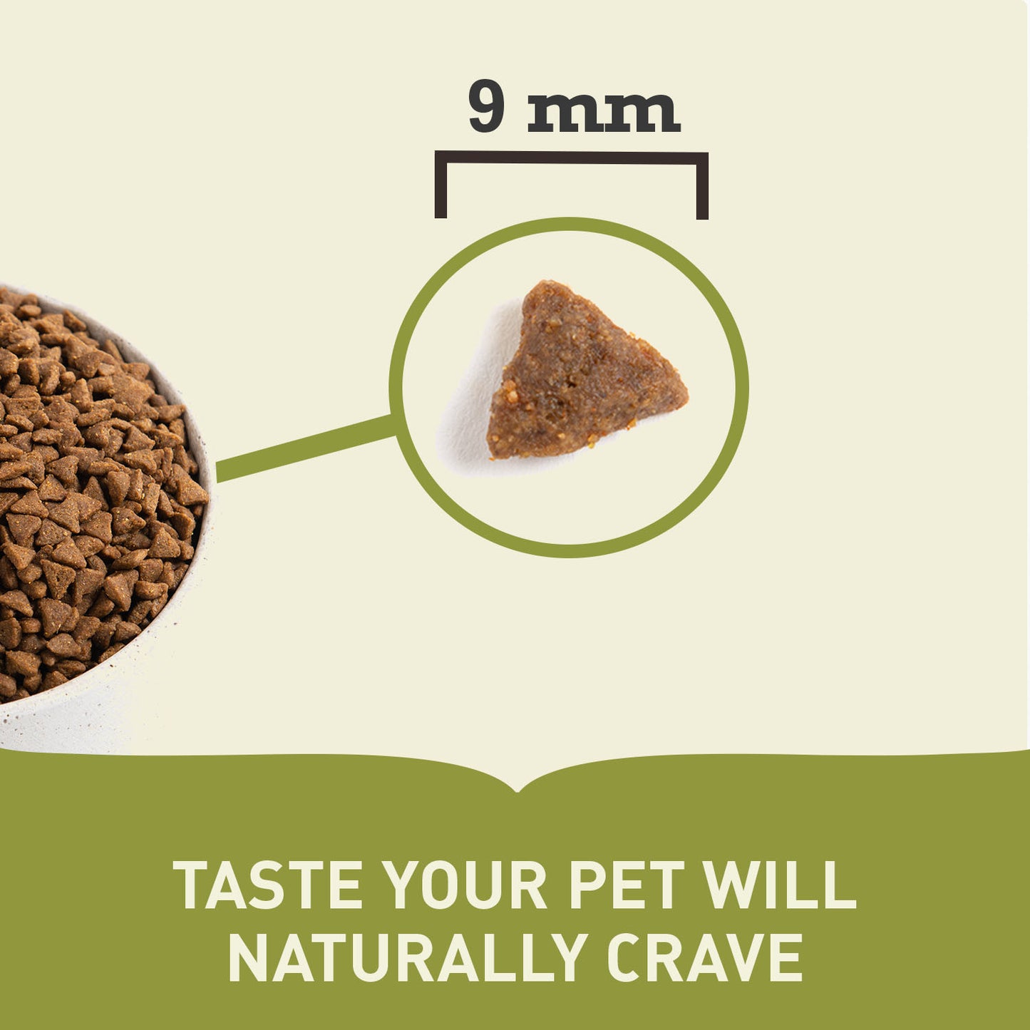 Acana Adult Cat Food - Bountiful Catch