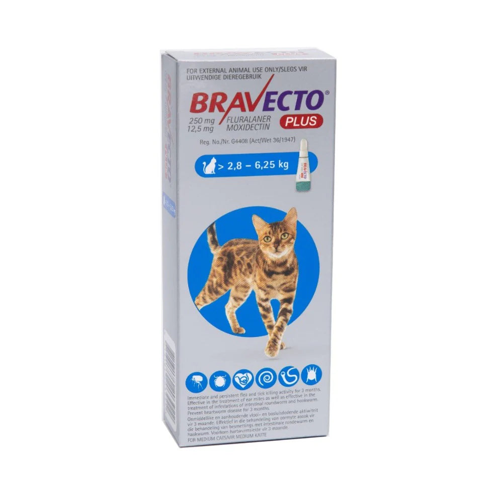 250mg + 12.5mg Tick, Flea & Roundworm Silver Blue Bravecto Plus Cream - Medium Cat (2.8–6.25kg)