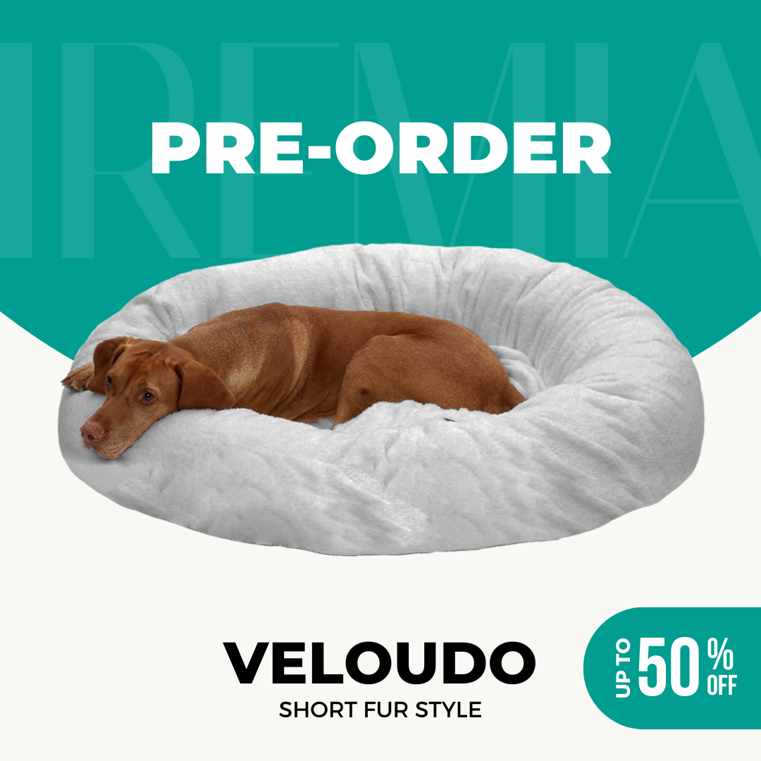 Short Fur Veloudo IREMIA Dog Bed - South Africa’s No.1 ePet Store for premium pet products, online pet shopping, best pet store near me, dog beds, dog bed, plush dog bed, washable dog bed, fluffy dog bed, calming dog bed, takealot dog bed, iremia dog