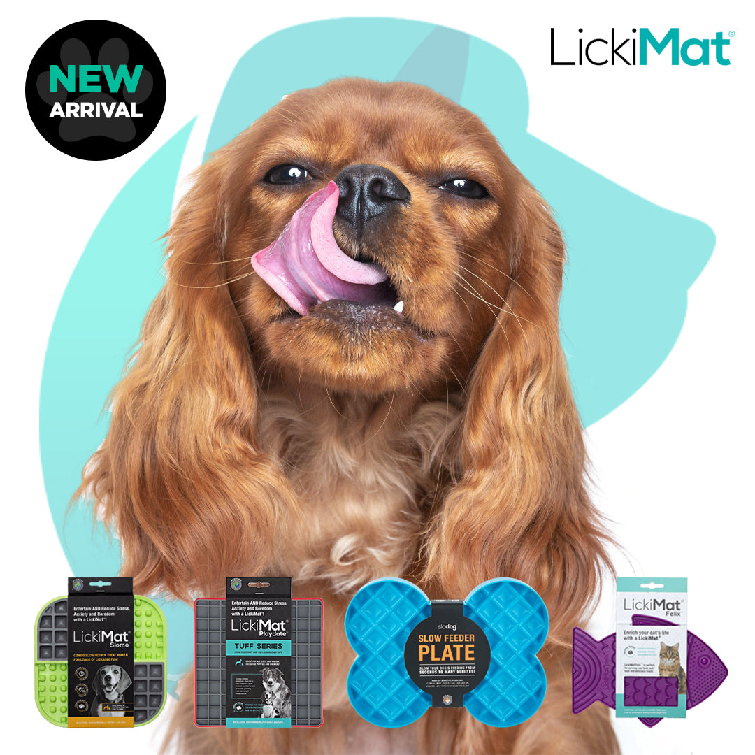 Lickimat slowfeeders - South Africa’s No.1 ePet Store for premium pet products, online pet shopping, best pet store near me, dog beds, dog bed, plush dog bed, washable dog bed, fluffy dog bed, calming dog bed, takealot dog bed, iremia dog, dog food, pet food, cat food, dog collar, dog leash, dog harness, dog harnesses, dog collars, dog leashes, dog bowls, pet bowls, slow feeders, slow feeding dog bowls, slow feeder dog bowls, Complete Pet Nutrition