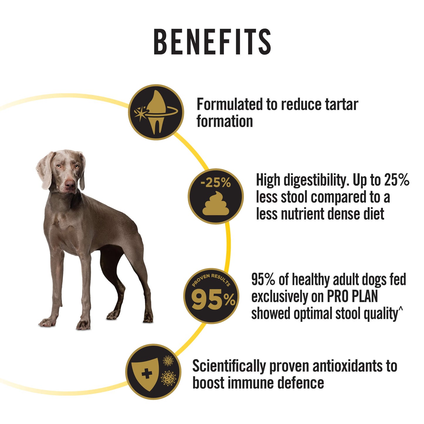 Purina PRO PLAN® Adult 7+ Medium & Large Breed Bright Mind Dog Food - Chicken