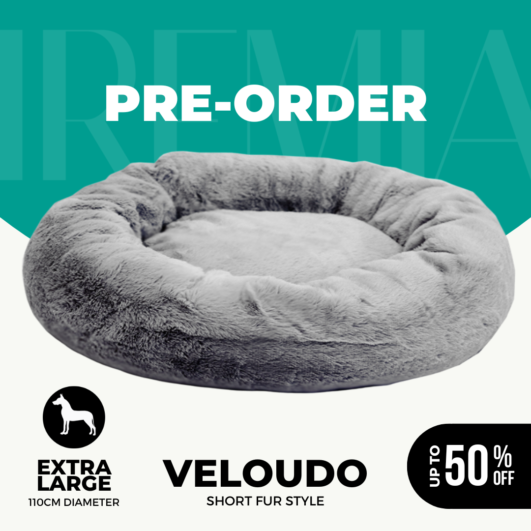 Best extra large dog bed online