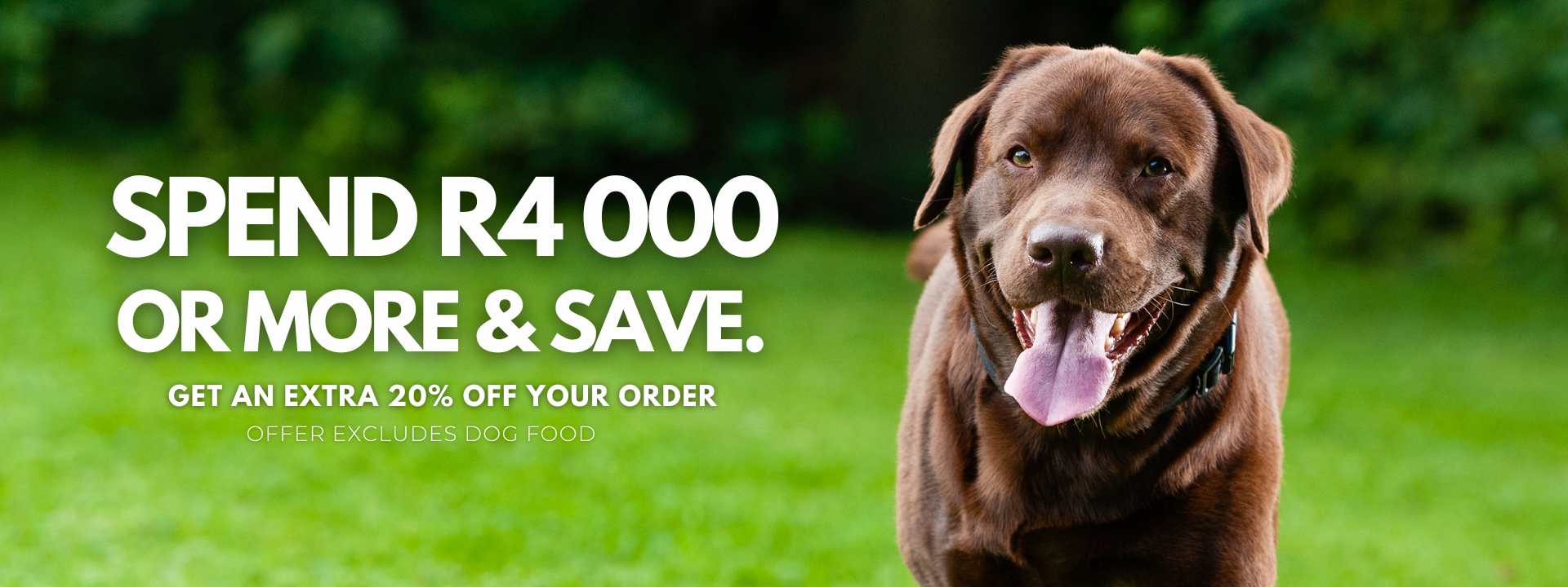 Spend R4,000+ Excl. pet fopod banner pet image - South Africa’s No.1 ePet Store for premium pet products, online pet shopping, best pet store near me, dog beds, dog bed, plush dog bed, washable dog bed, fluffy dog bed, calming dog bed, takealot dog bed, iremia dog, dog food, pet food, cat food, dog collar, dog leash, dog harness, dog harnesses, dog collars, dog leashes, dog bowls, pet bowls, slow feeders, slow feeding dog bowls, slow feeder dog bowls, Complete Pet Nutrition