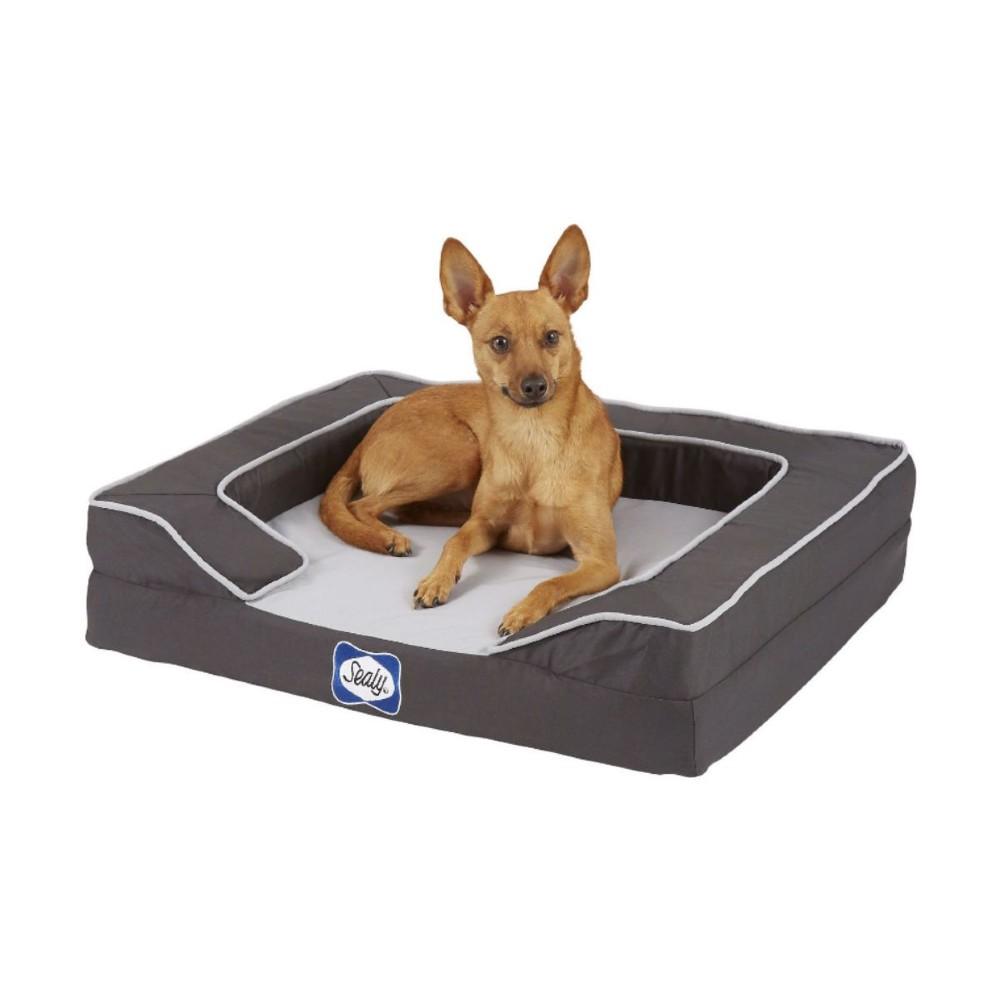 Medium Lux Orthopedic Sealy Dog Bed