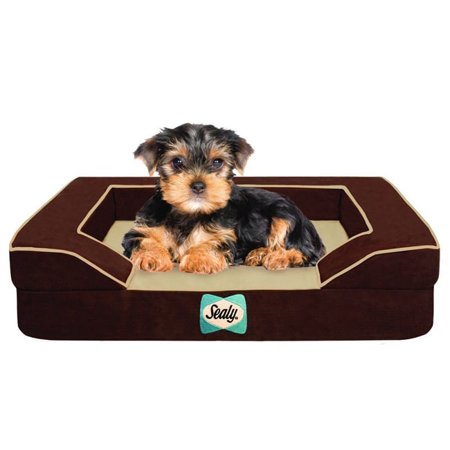 Small Lux Orthopedic Sealy Dog Bed