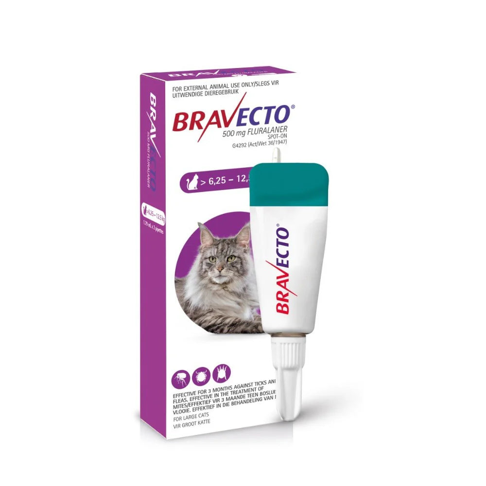 500mg Tick, Flea & Roundworm Purple Bravecto Spot-On - Large Cat (6.25–12.5kg)