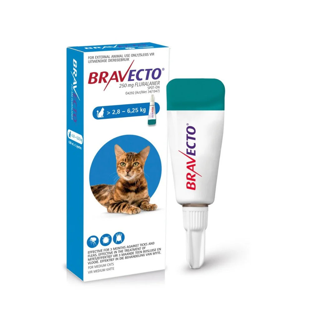 250mg Tick, Flea & Roundworm Blue Bravecto Spot-On - Medium Cat (2.8–6.25kg)
