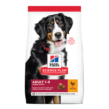 Hill's Science Plan Adult - Large Adult Dog Food With Chicken