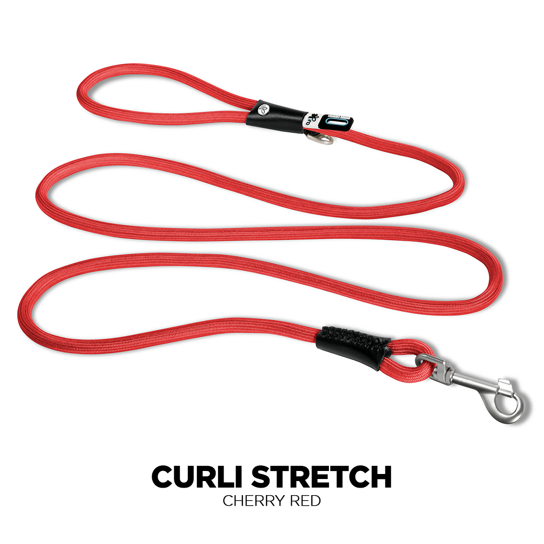 Cherry Red Curli Stretch Comfort Dog Leash colour image from Pets Planet - South Africa’s No.1 ePet Store for premium pet products, online pet shopping, best pet store near me, for dog leashes, dog collars, dog leash, dog collar, dog harness, dog harnesses, slow feeders, pet slow feeders, dog slow feeders, dog bowl, dog bed, dog beds, dog beds on sale, washable dog bed, takealot dog bed, plush dog bed, pet bed, iremia dog bed from a pet store Olivedale, pet store Bryanston, Pet Store Johannesburg