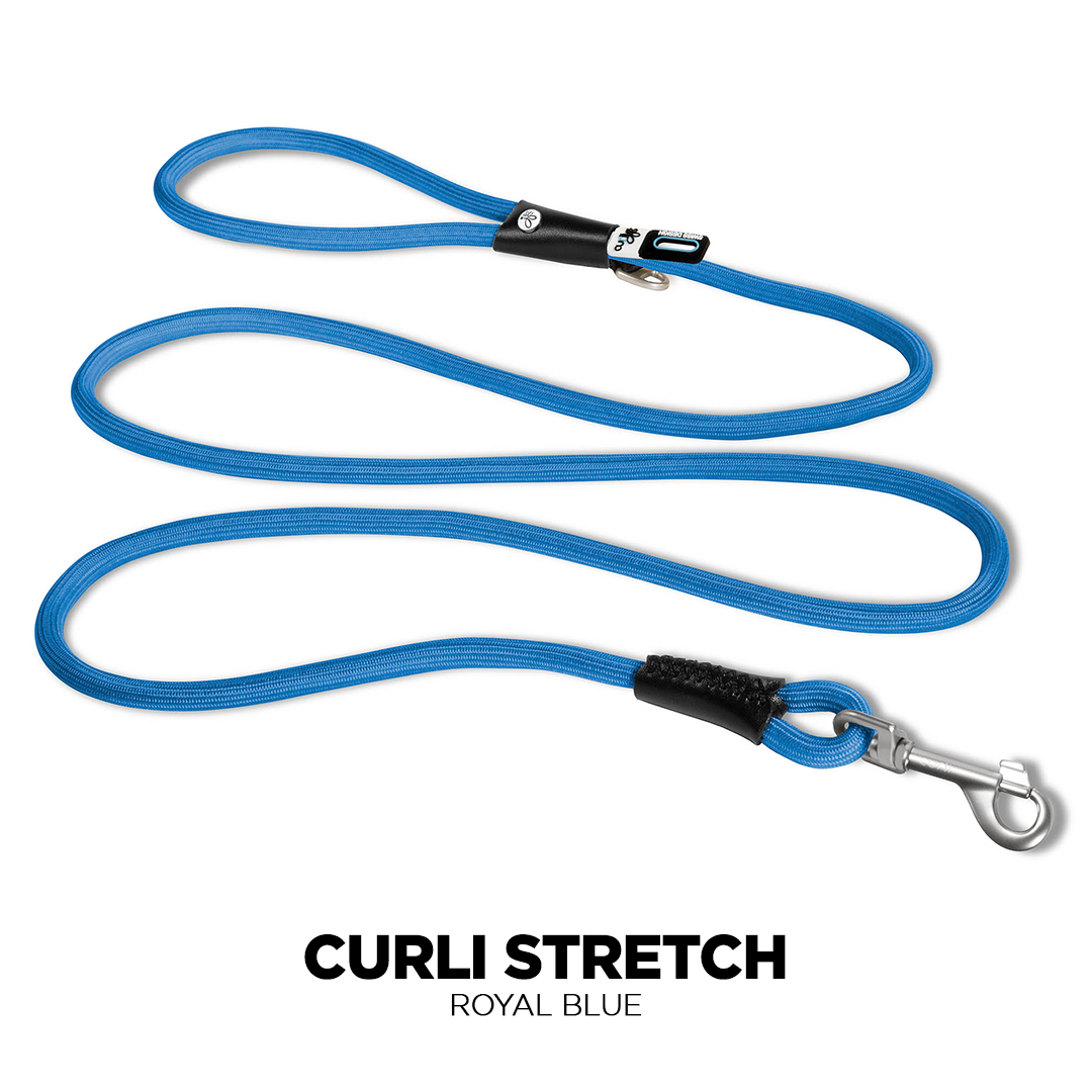 Royal Blue Curli Stretch Comfort Dog Leash colour image from Pets Planet - South Africa’s No.1 ePet Store for premium pet products, online pet shopping, best pet store near me, for dog leashes, dog collars, dog leash, dog collar, dog harness, dog harnesses, slow feeders, pet slow feeders, dog slow feeders, dog bowl, dog bed, dog beds, dog beds on sale, washable dog bed, takealot dog bed, plush dog bed, pet bed, iremia dog bed from a pet store Olivedale, pet store Bryanston, Pet Store Johannesburg