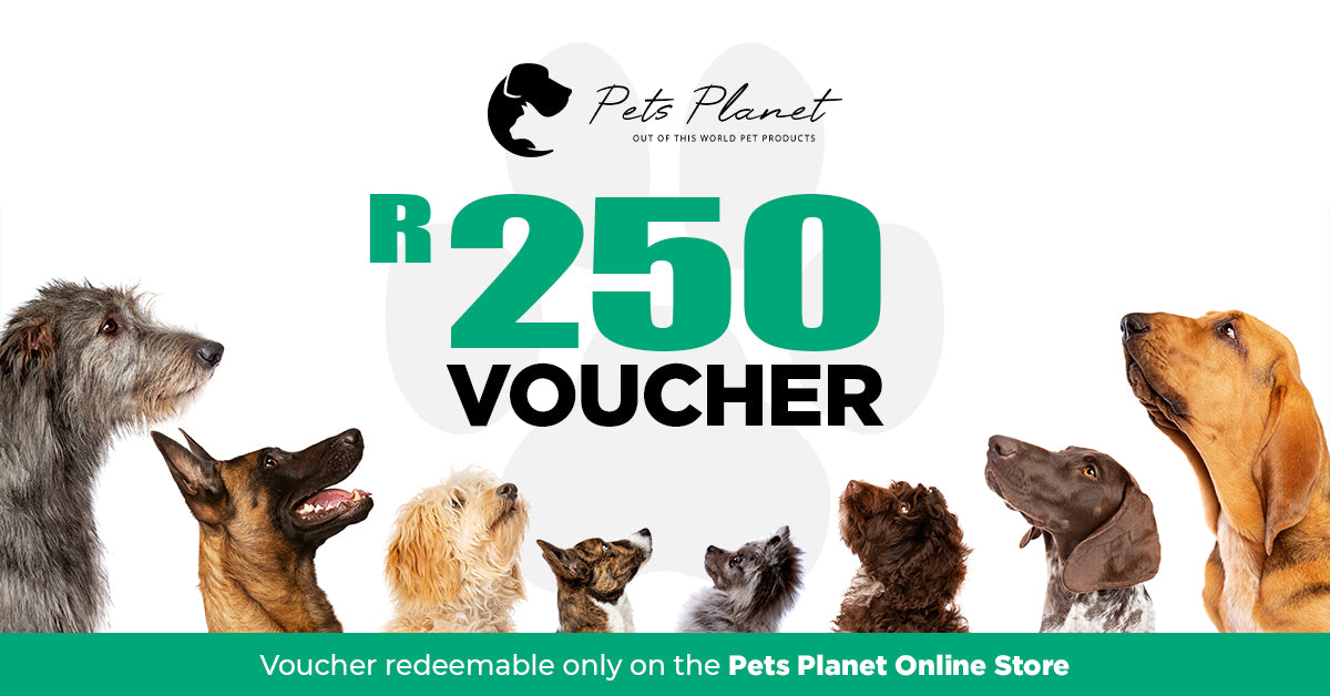 Pets Planet Gift Card From Pets Planet South Africa's