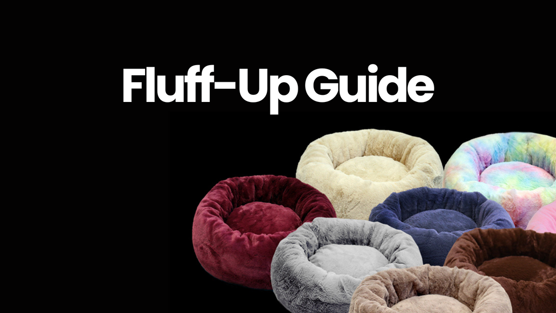 Fluff-Up Guide: IREMIA Dog Bed