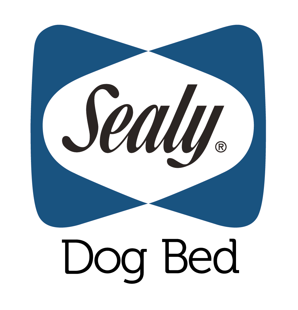 Sealy Dog Beds From Pets South Africa’s No.1 ePet Store for