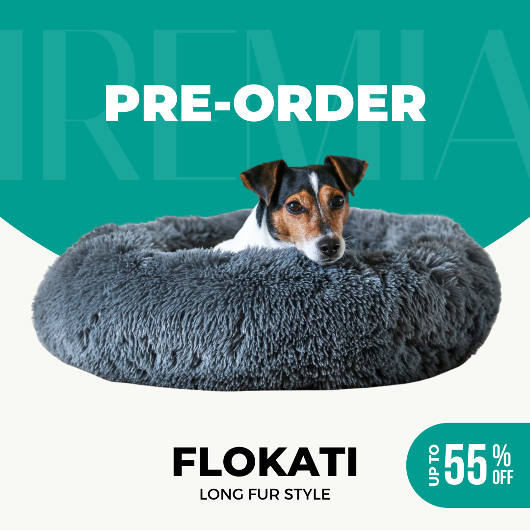 IREMIA Dog Bed From Pets Planet South Africa s No.1 ePet Store for premium pet products online pet shopping for the best pet store near me for products like dog beds