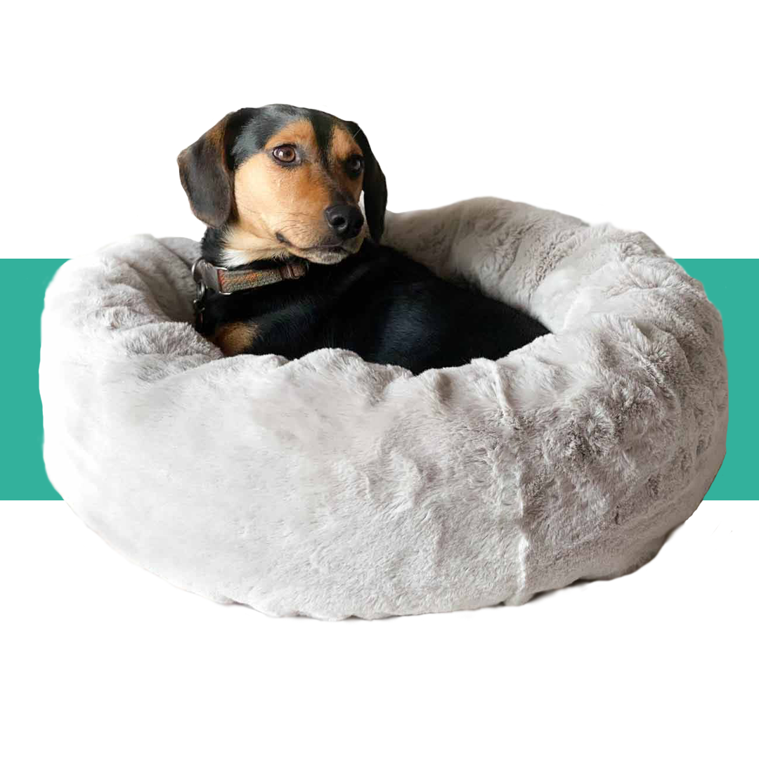 Dog Beds Collection Image Pets Planet - South Africa’s No.1 ePet Store for premium pet products, online pet shopping, best pet store near me, dog beds, dog bed, plush dog bed, washable dog bed, fluffy dog bed, calming dog bed, iremia dog bed