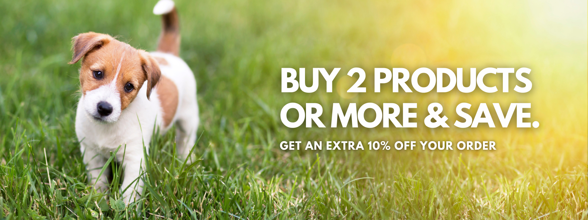 Luxurious Pet Combo's From Pets South Africa’s No.1 ePet Store