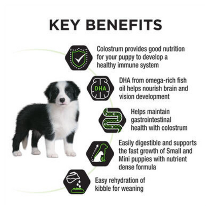 Purina PRO PLAN® Puppy Medium Breed Dog Food - Chicken