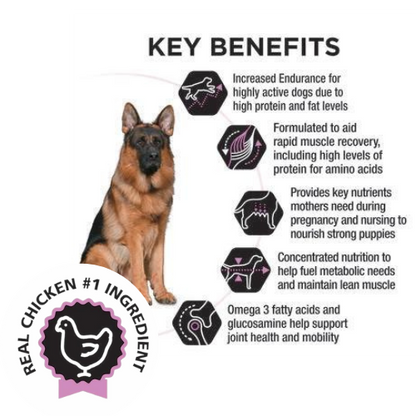 Purina PRO PLAN® All Life Stages All Breed Sizes Performance Dog Food - Chicken