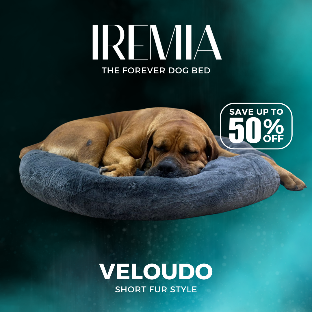 Velvet Veloudo IREMIA Dog Bed From Pets Planet South Africa s No.1 ePet Store for premium pet products online pet shopping for the best pet store near me for products like