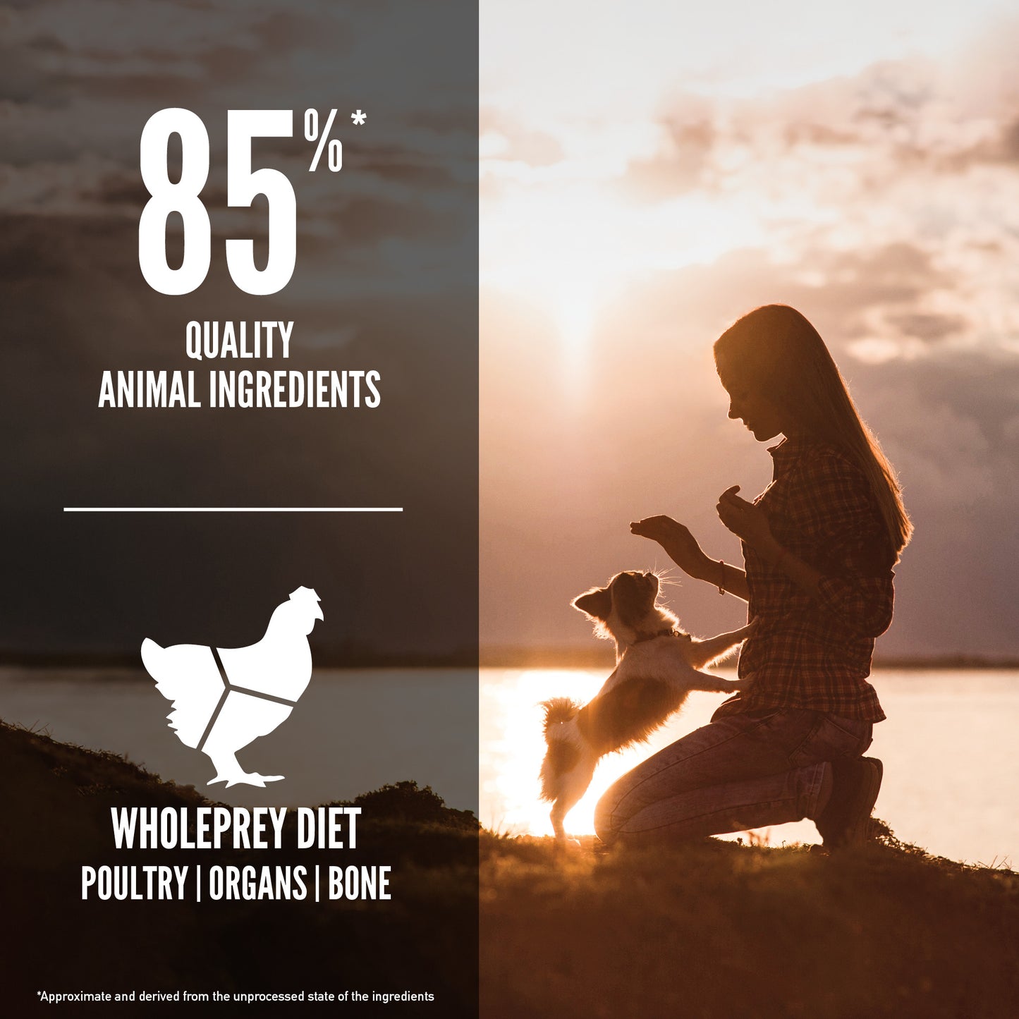 Orijen Small Breed Dog Food