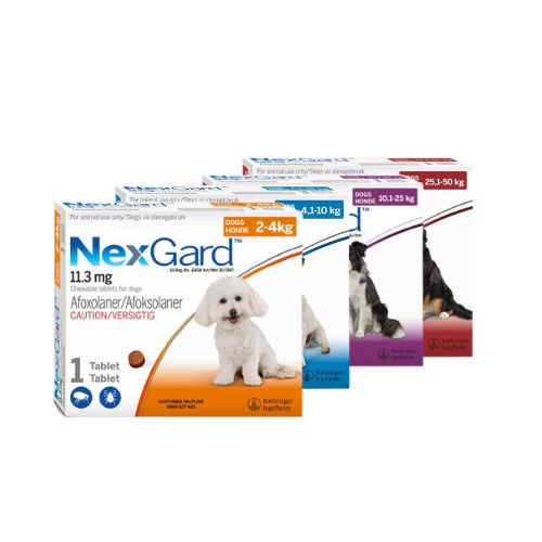3,000mg NexGard Chewable Tick & Flea Tablets - Medium Dog (10-25kg)