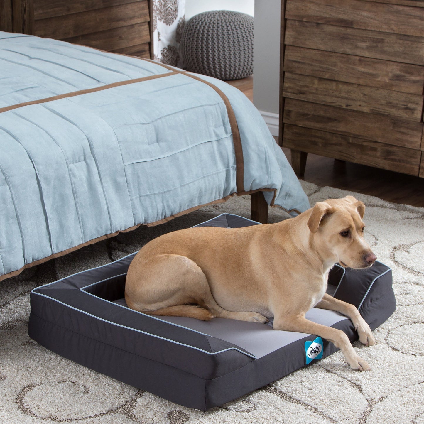 Extra-Large Lux Orthopedic Sealy Dog Bed