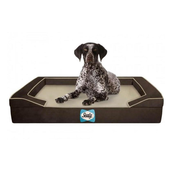 Jumbo Lux Orthopedic Sealy Dog Bed Pets South Africa’s No.1