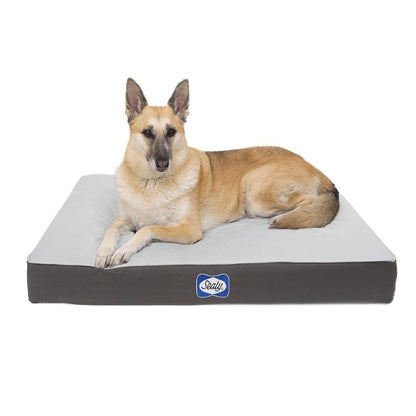 Extra-Large Defender Water Resistant Sealy Dog Bed