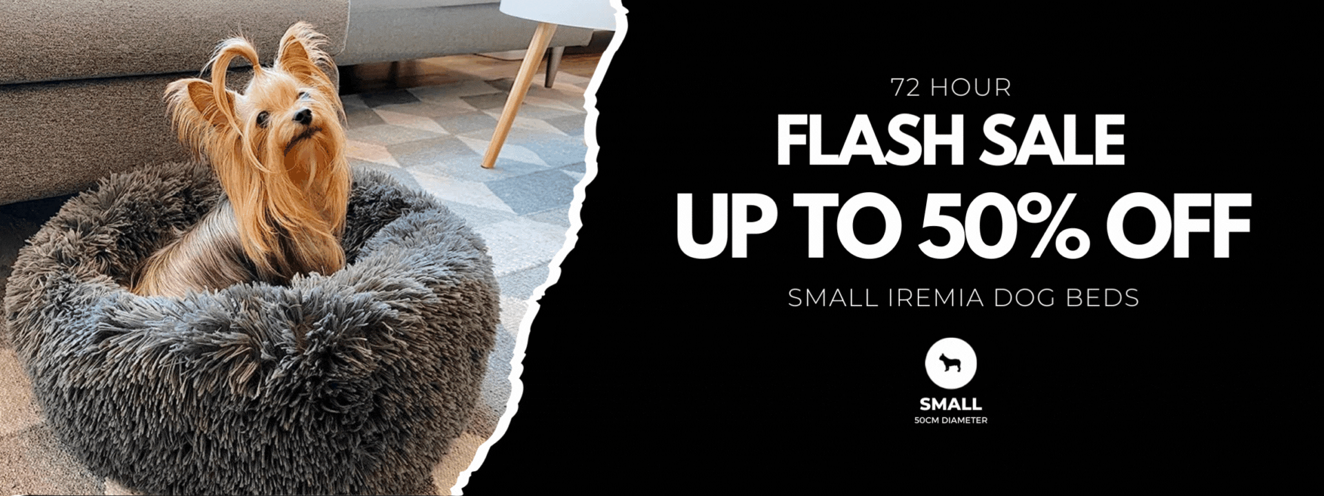 Pets South Africa's Best Pet Store for Premium Pet Products