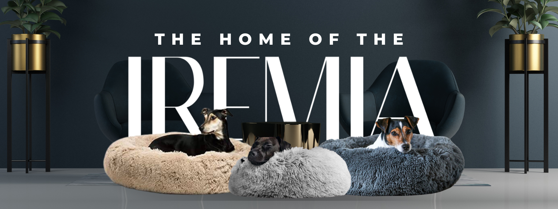 Animal planet shop pet bed