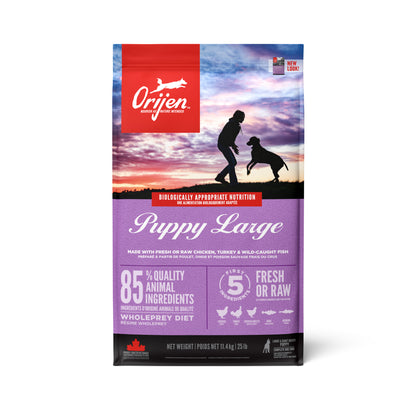 Orijen Large Breed Puppy Food