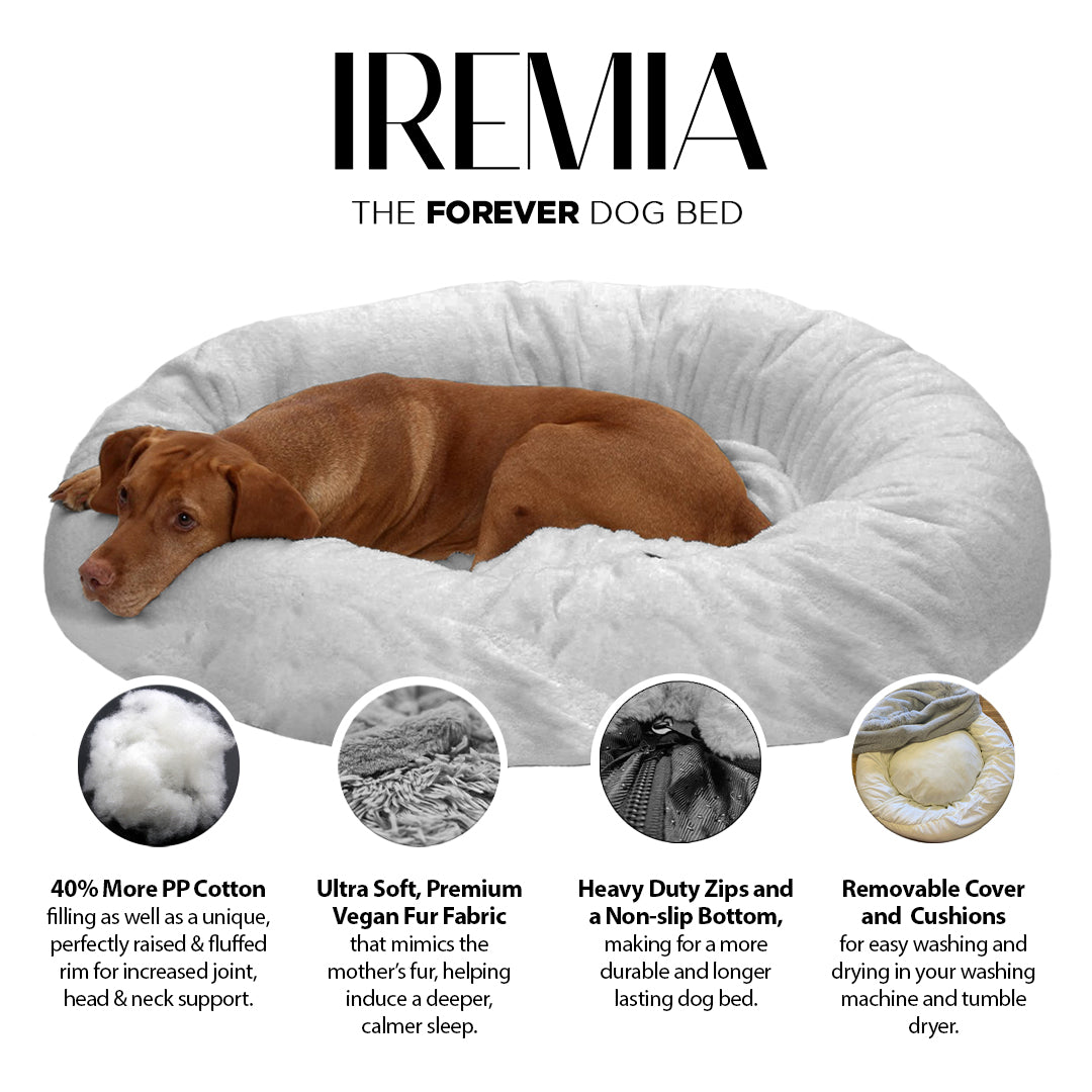 Short-Fur Velvet-Veloúdo rabbit fur IREMIA™ Dog Bed 4.0 benefits image From Pets Planet - South Africa’s No.1 ePet Store for premium pet products, online pet shopping, best pet store near me, for dog beds, dog bed, plush dog bed, washable dog bed, fluffy dog bed, calming dog bed, relaxing dog bed, takealot dog bed, dog bed takealot, anxiety dog bed, donut dog bed, iremia dog bed, pet bed from a pet store Olivedale, pet store Bryanston, Pet Store Johannesburg