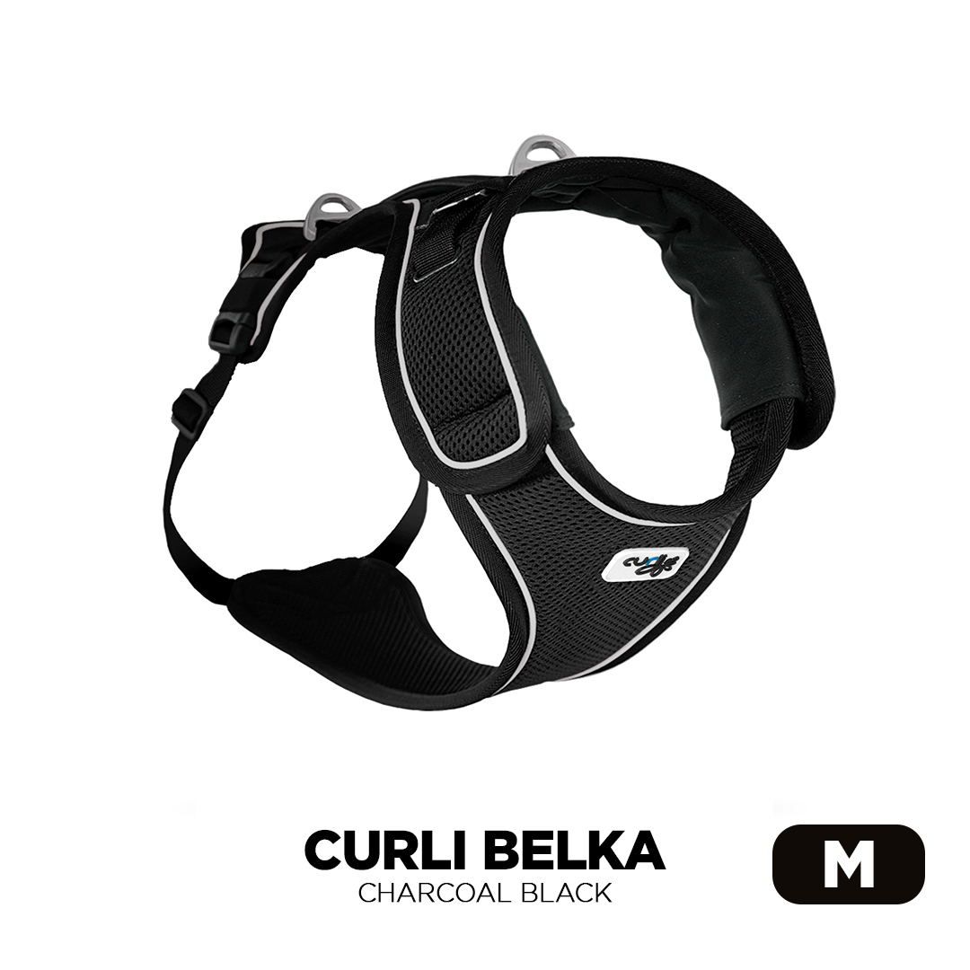 Medium Charcoal Black Curli Belka Air Mesh Dog Harness for larger dog breeds image from Pets Planet - South Africa’s No.1 ePet Store for premium pet products, online pet shopping, best pet store near me, dog harness, dog harnesses, Curli Dog Harness, Curli Dog Harnesses, dog bed, dog beds, dog beds on sale, washable dog bed, takealot dog bed, dog bed Takealot, plush dog bed, calming dog bed, pet bed, iremia dog bed, pet store Olivedale, pet store Bryanston, Pet Store Johannesburg