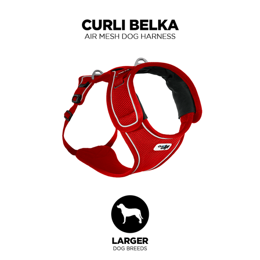 Curli Belka Air Mesh Dog Harness for larger dog breeds Product image from Pets Planet - South Africa’s No.1 ePet Store for premium pet products, online pet shopping, best pet store near me, dog harness, dog harnesses, Curli Dog Harness, Curli Dog Harnesses, slow feeders, pet slow feeders, dog slow feeders, dog bowl, dog bed, dog beds, dog beds on sale, washable dog bed, takealot dog bed, plush dog bed, pet bed, iremia dog bed from a pet store Olivedale, pet store Bryanston, Pet Store Johannesburg