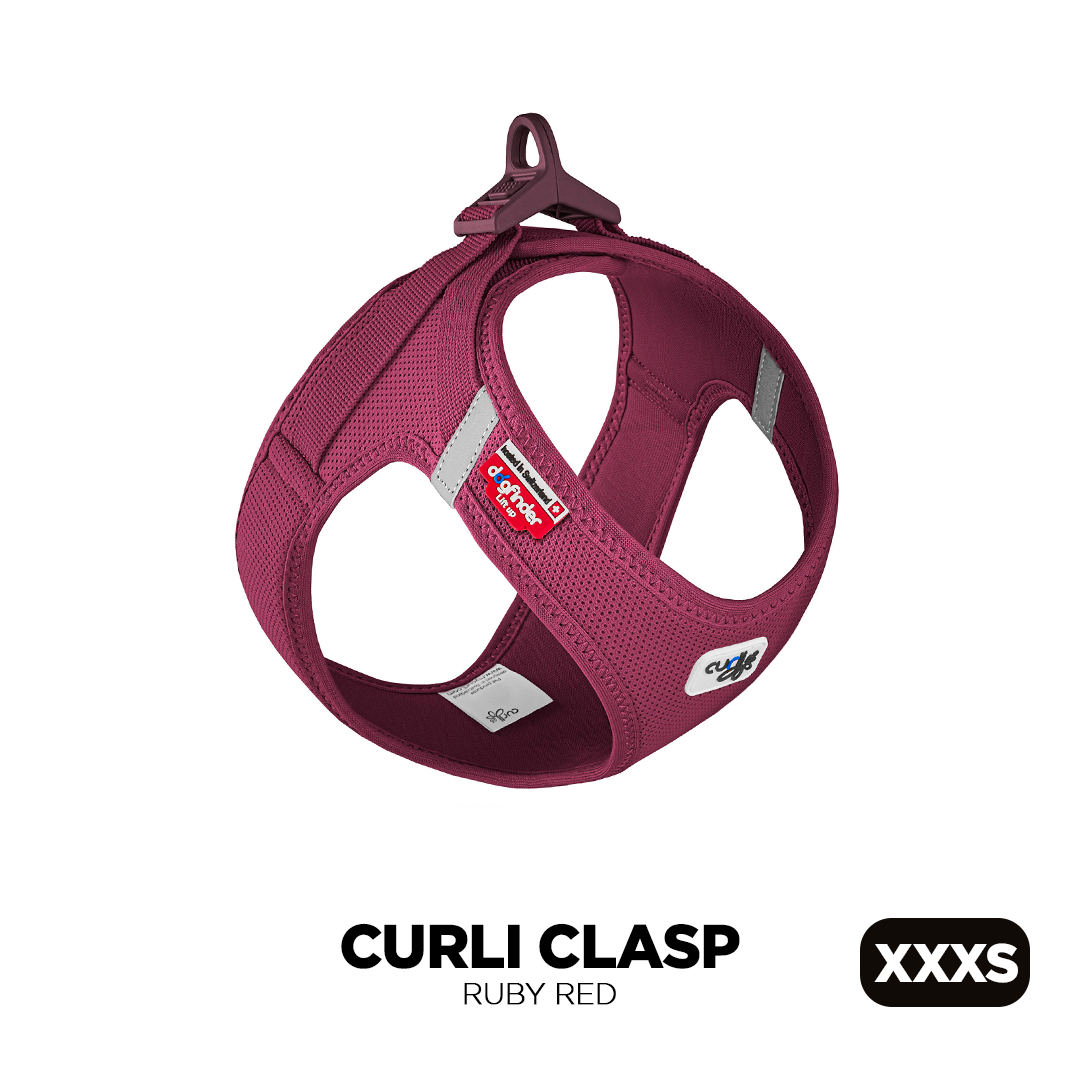 (XXXS) Extra Extra Extra Small Ruby Red Curli Clasp Air Mesh Dog Harness for smaller dog breeds image from Pets Planet - South Africa’s No.1 ePet Store for premium pet products, online pet shopping, best pet store near me, dog harness, dog harnesses, Curli Dog Harness, Curli Clasp, Curli Dog Harnesses, dog bed, dog beds, dog beds on sale, washable dog bed, takealot dog bed, plush dog bed, calming dog bed, pet bed, iremia dog bed, pet store Olivedale, pet store Bryanston, Pet Store Johannesburg