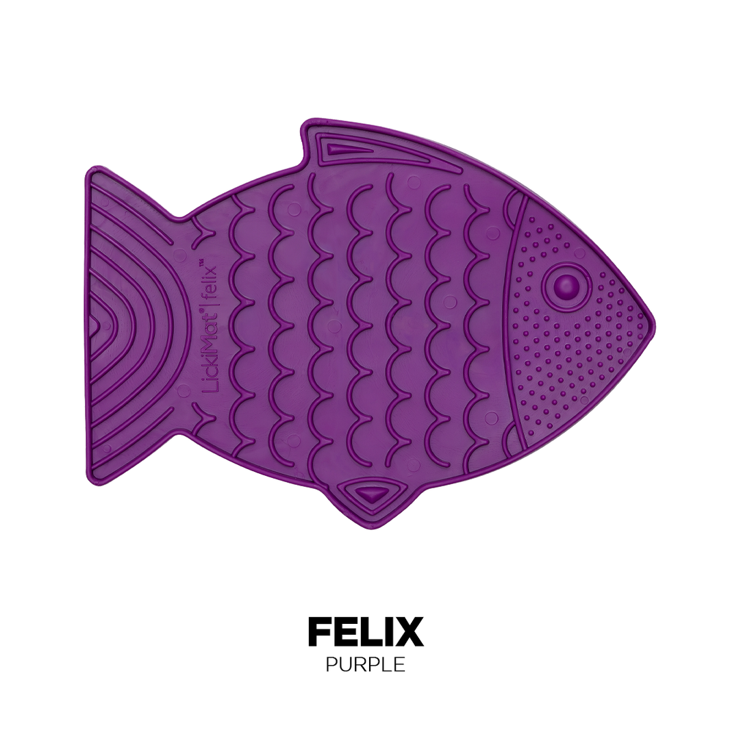 [BLOG] Why you should adopt a rescue cat Pets South Africa’s