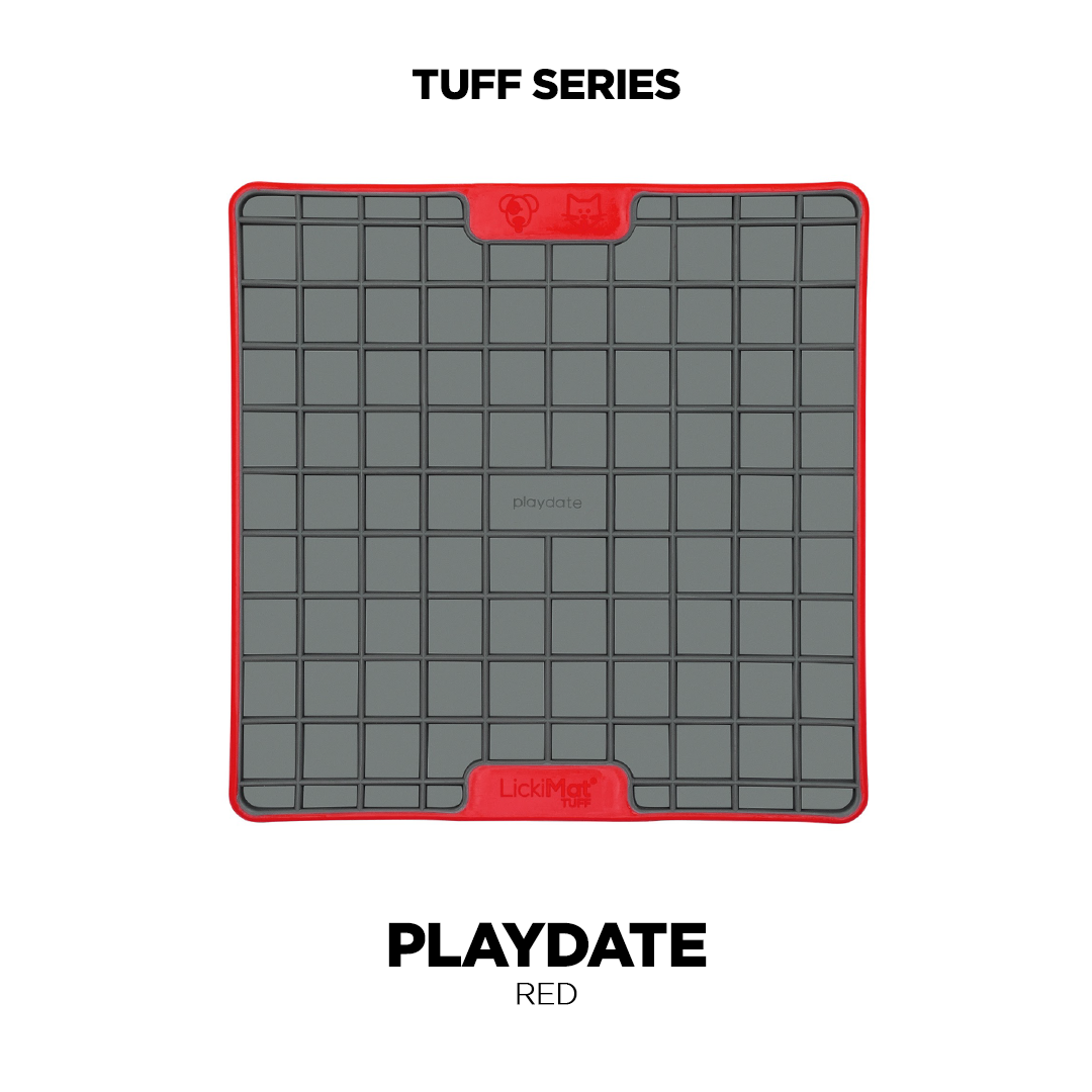 Pet products near me hot sale