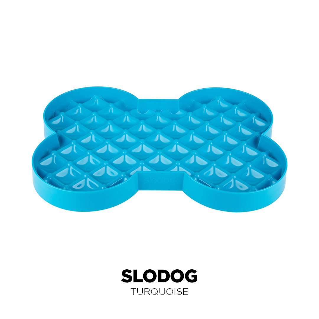 Turquoise Colour Variation image for LickiMat SloDog Slow Feeder Plate,Pet Food Bowl or Dog Food Bowl from Pets Planet - South Africa’s No.1 ePet Store for premium pet products, online pet shopping, best pet store near me, for slow feeders, pet slow feeders, dog slow feeders, slow feeder bowler dog bed, dog beds, dog beds on sale, washable dog bed, takealot dog bed, plush dog bed, pet bed, iremia dog bed from a pet store Olivedale, pet store Bryanston, Pet Store Johannesburg