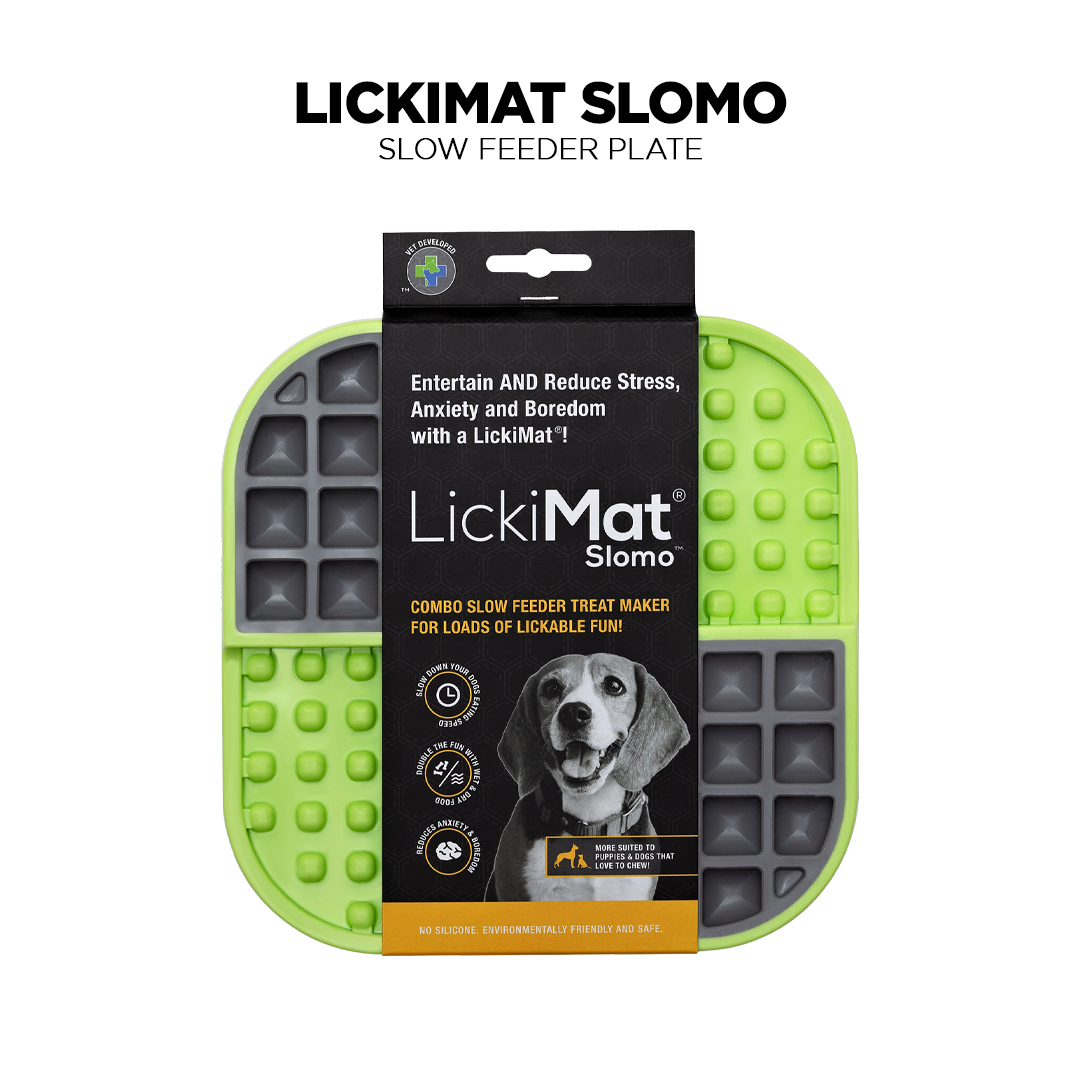 Green LickiMat Slomo,Pet Food Bowl or Dog Food Bowl from Pets Planet - South Africa’s No.1 ePet Store for premium pet products, online pet shopping, best pet store near me, for slow feeders, pet slow feeders, dog slow feeders, slow feeder bowler dog bed, dog beds, dog beds on sale, washable dog bed, takealot dog bed, plush dog bed, pet bed, iremia dog bed from a pet store Olivedale, pet store Bryanston, Pet Store Johannesburg