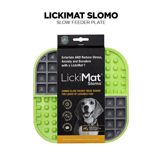 Green LickiMat Slomo,Pet Food Bowl or Dog Food Bowl from Pets Planet - South Africa’s No.1 ePet Store for premium pet products, online pet shopping, best pet store near me, for slow feeders, pet slow feeders, dog slow feeders, slow feeder bowler dog bed, dog beds, dog beds on sale, washable dog bed, takealot dog bed, plush dog bed, pet bed, iremia dog bed from a pet store Olivedale, pet store Bryanston, Pet Store Johannesburg